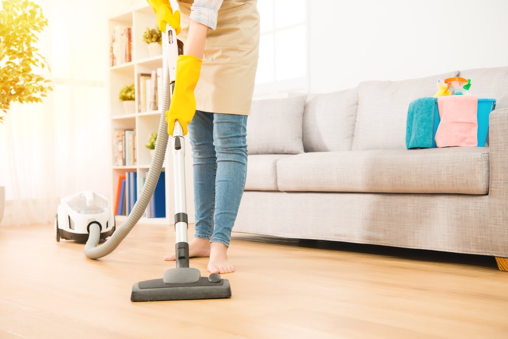 Princeton's Premier Cleaning Service - Maiditnew Book Online